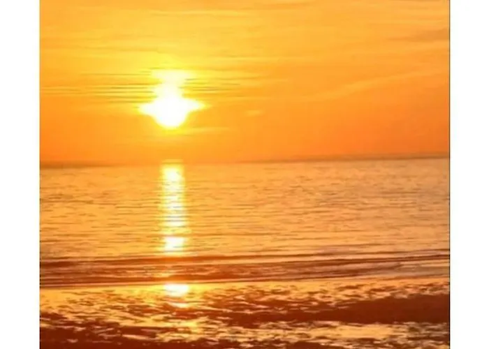 Chez Gill & Clo Kamp alanı *